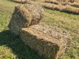 Hø i småballer