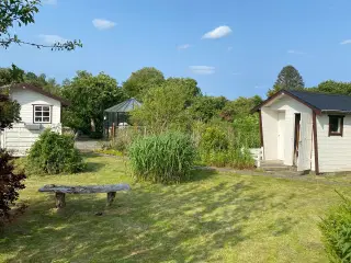 Kolonihave Odense (Næsby) ny pris