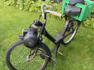 Velo solex 3800