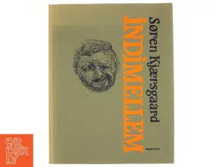 Indimellem af Søren Kjærsgaard (bog)