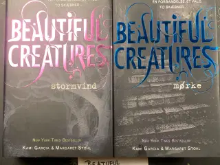 Fantasy romaner Stormvind og Mørke