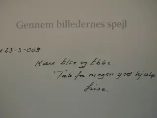 gennem billedernes spejl - maleren arne haugen, af