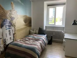 Charming furnished “Star Wars” room in penthouse flat close to the metro