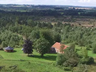 Riskj�r skov - �deg�rd i Jylland -  med b�lhytte, shelter, aktivitetsrum & 20ha natur