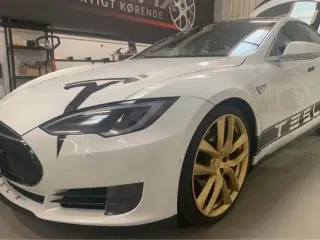 EVETESLA - DRAGONTAIL - MODEL S - 21” GULDFÆLGE