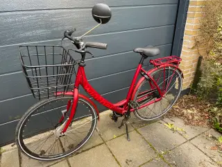 Red Winther 4 dame Nexus 7g.