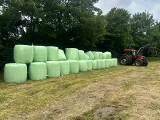 Øko Wrapballer
