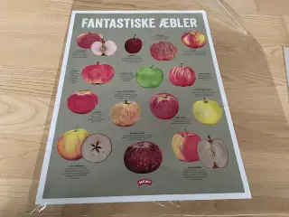 Plakat m. Æbler