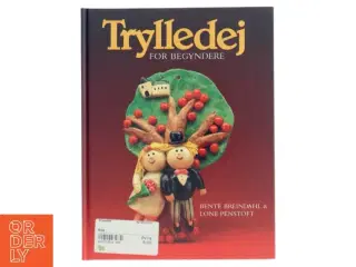 Trylledej for begyndere bog