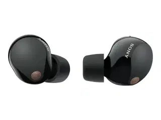 Sony WF-1000XM5