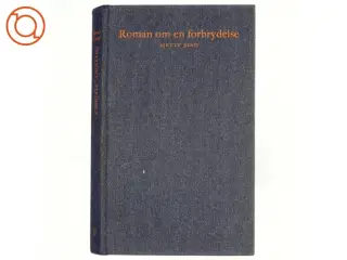 Roman om en forbrydelse, 6.bind, strisser, strisser