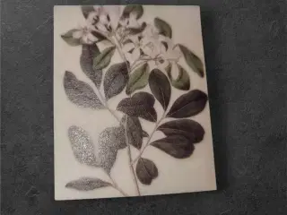 Botanisk papir – elegance til dine kreationer