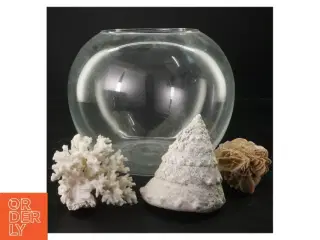 Glasboule til blomster,  sneglehuse, krystaller (str. Ø. 23 cm)