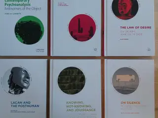 The Palgrave Lacan Series