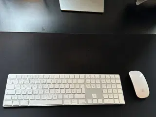 Apple Magic keyboard + mus
