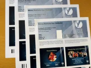 Nikolaj Stokholm SHOW Billetter
