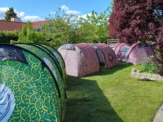 Festivalstelte 6 pers.