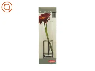 Vase har Flora i klart glas