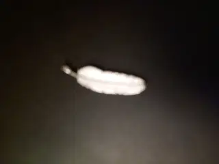 Vedhæng. Fjer sølv heiring