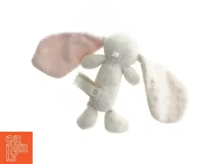 Bamse med lange øre (str. 16 cm)
