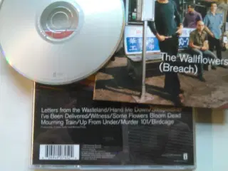 The wallflowers: Breach (2000