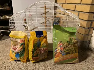 Undulat bur med foder