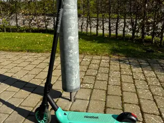 Ninebot by Segway løbehjul Zing A6
