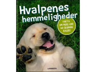 Hvalpens Hemmeligheder
