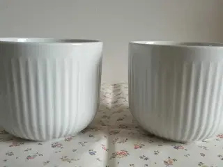 2 eva trio legio nova urtepotteskjuler 13 cm