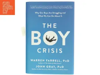 The Boy Crisis (Bog)