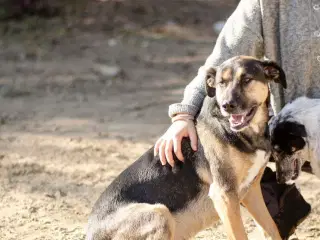 Milde Bono søger familie