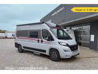 2024 - Dethleffs Globetrail CVD 600 ER Advantage   Udlejes: Ny camper van på 6 meter med enkeltsenge og automatgear