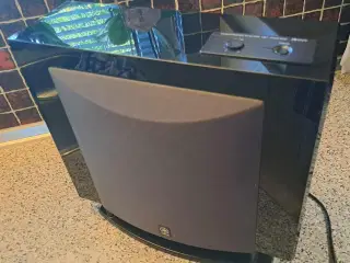 Subwoofer, Yamaha YST-FSW100