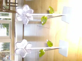 Blomster i glas 