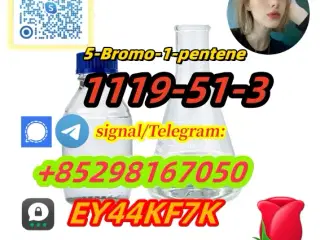 Buy 5-Bromo-1-pentene 1119-51-3 online to Russia