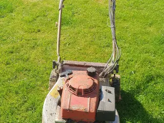 Plæne klipper kom med et bud en pris 