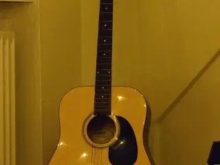 Guitar, western