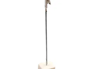 Krokodillenæb på fod, H: 15 cm, str. 2x2x2 cm, 5stk./ 1 pk.