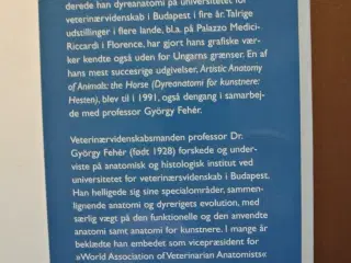 anatomisk tegnelære - menneske og dyr - sammenlign