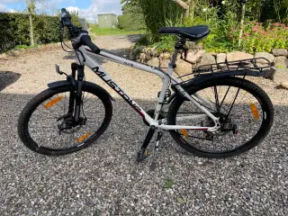 “Mountainbike “