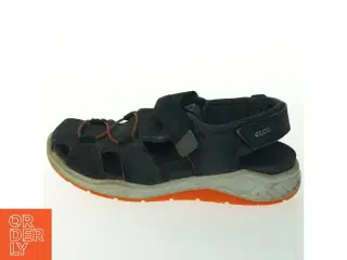 Ecco sandaler fra Ecco (str. 33)