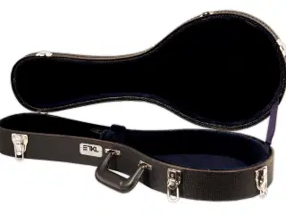 SØGES! Mandolin kuffert/hard case/flight case