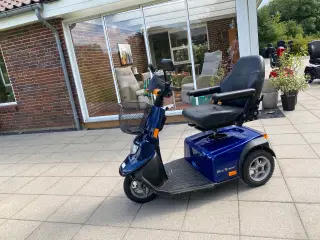 El Scooter
