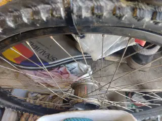 Bagnav Nexus 8 speed