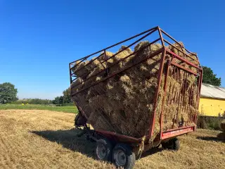 Vårbyg småballer 