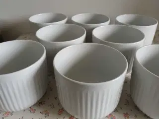 8 Eva Trio Legio Nova urtepotteskjuler Ø: 13 cm