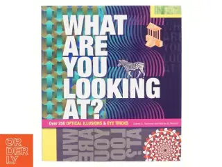 What are You Looking At? af Gianni A. Sarcone, Marie-Jo Waeber (Bog)