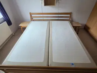 Jensen elevationsseng