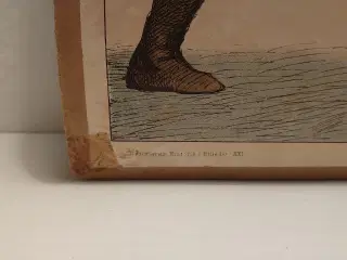 Louis Moe?: Papirlitografi på pap. År 1898