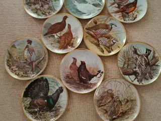 Fine fugleplatter. til jagtstuen